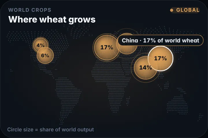 World Crops in the STX+ Floor